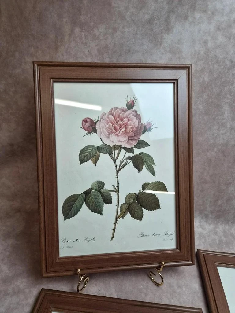 Lot de 3 quadros botânicos P.j. Redouté – Rosas e tulipa – photo 2